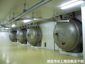 宠物食品冻干生产工艺与设备详解 肉类冻干与真空冻干机的核心作用