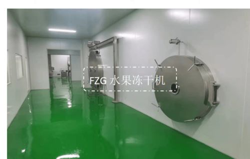 食品冻干机在水果与果汁冻干加工中的应用研究