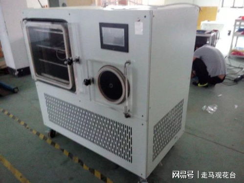 小型真空冻干机 精准守护，超越常规的冻干革新