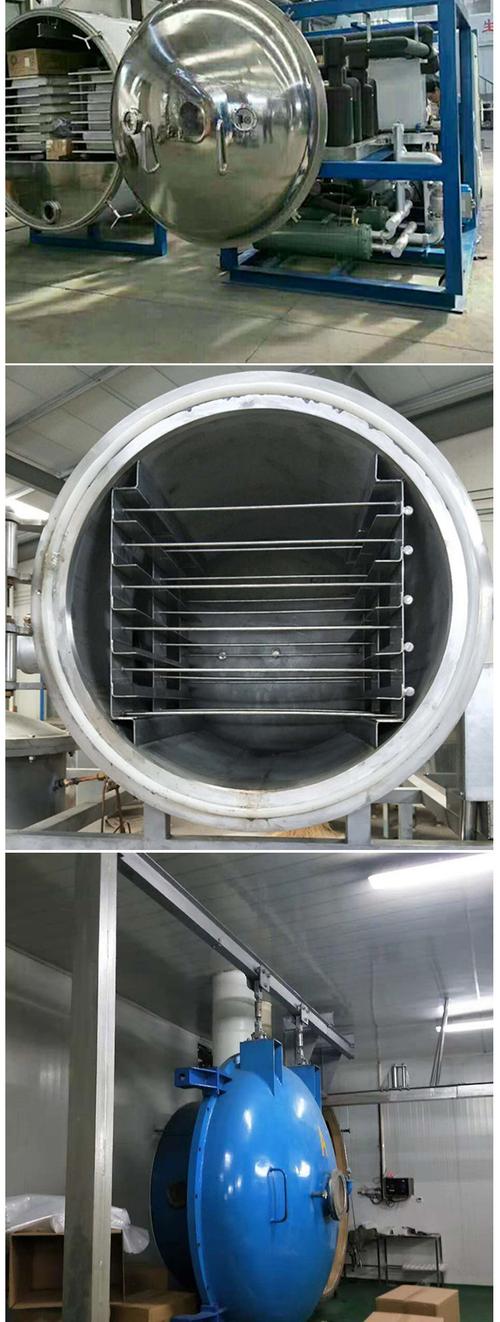 现货供应真空冻干机器 树莓 白桑葚真空低温冷冻干燥设备价格